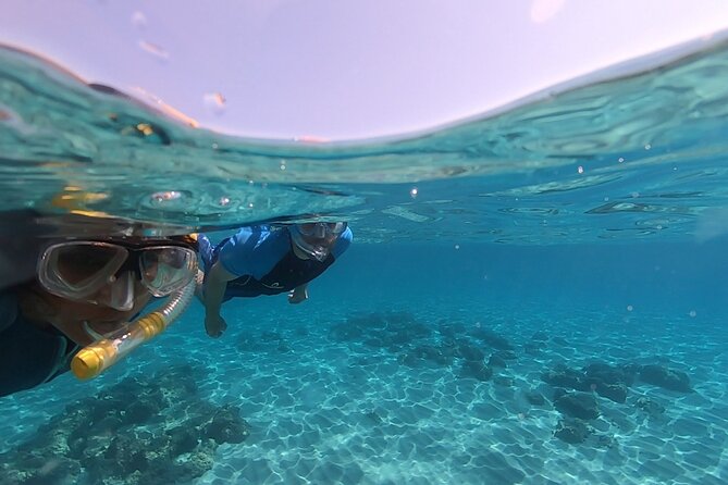Snorkeling Experience to discover the dolphin inside you! - Along the Cliff and Beach: What the Snorkel Route Is Really About