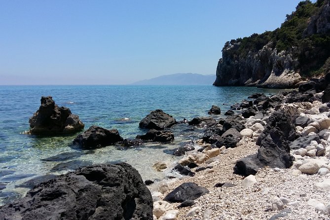 Snorkeling Experience to discover the dolphin inside you! - After Snorkeling: Identifying Fish and Plant Species on the Beach