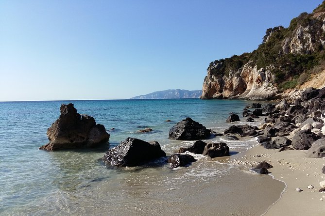Snorkeling Experience to discover the dolphin inside you! - Meeting at La Casa dei Pini and Heading to the Beach by Car
