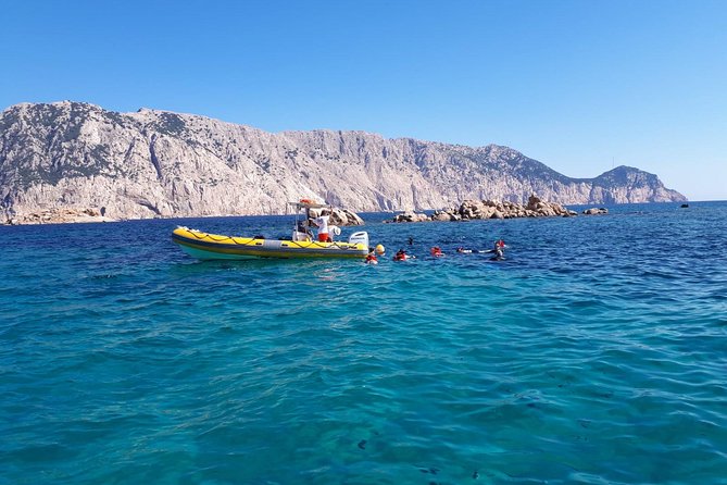 Snorkeling marine protected area Tavolara - Getting there: meeting point and how the morning flows