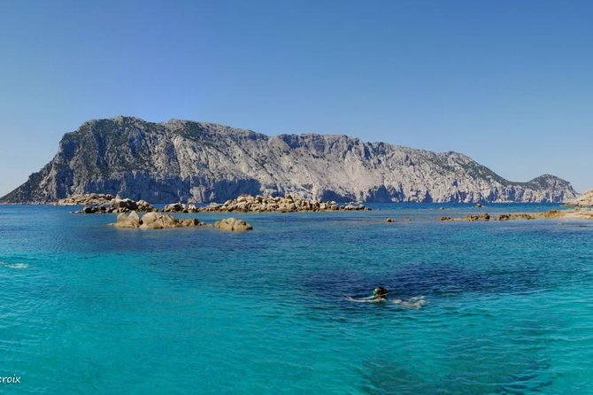 Snorkeling marine protected area Tavolara - Price and what you get for $84.69
