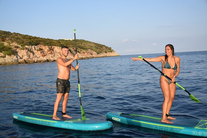 Stand Up Paddle With Dolphins, aperitif and pictures - Who Should Book This Dolphin SUP (and What to Consider)