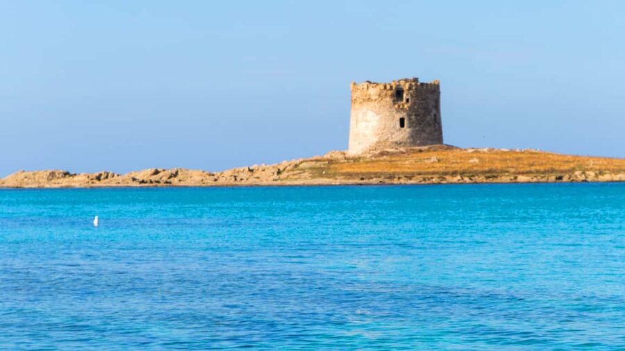 Stintino: Half-day catamaran tour to La Pelosa with aperitif - Fornelli Natural Pools: crystal-clear water without the fuss