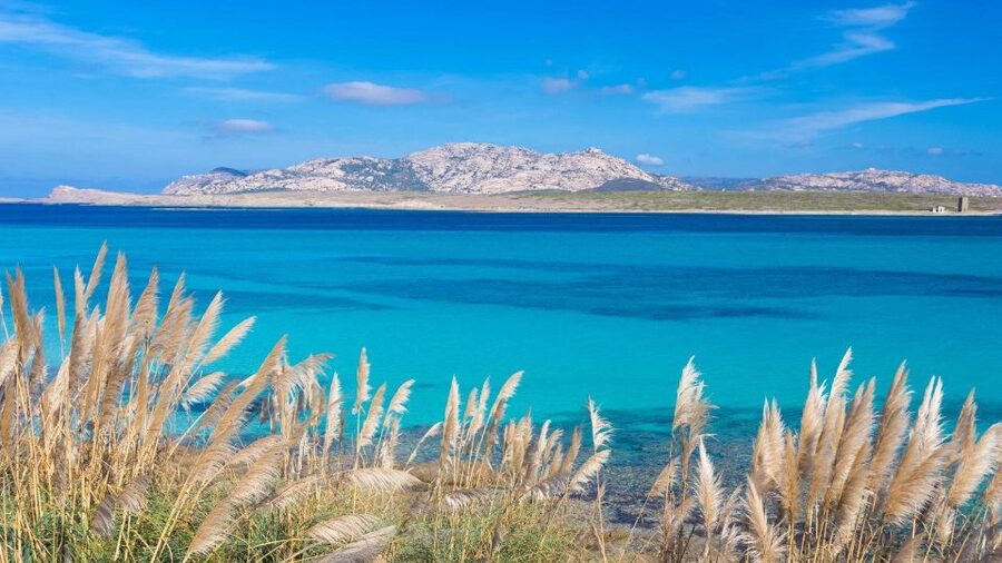 Stintino: Half-day catamaran tour to La Pelosa with aperitif - How the route around Piana Island adds movement