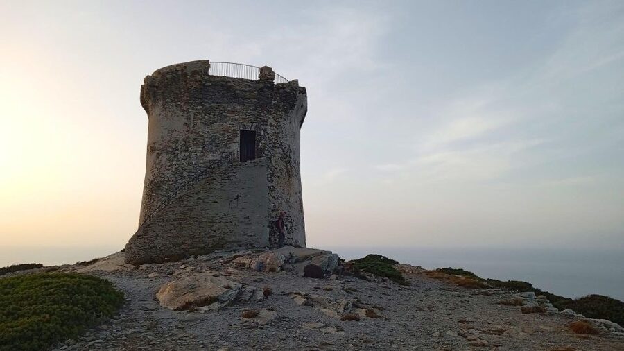 Stintino: sunset hike at Capo Falcone with tasting - Key things to know before you go