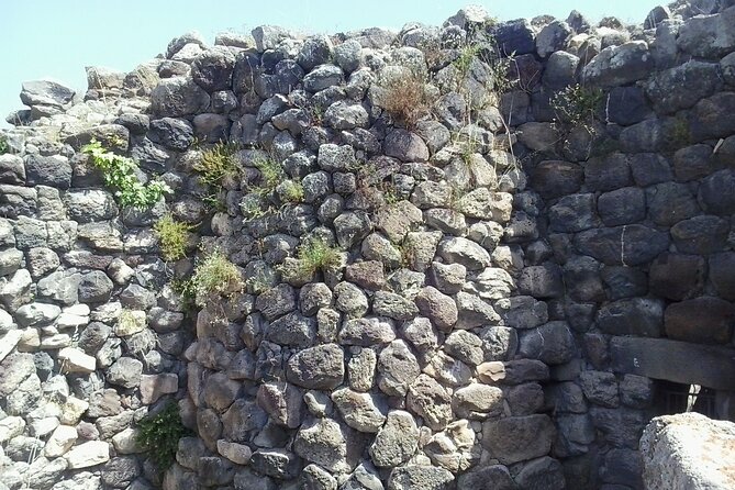 Su Nuraxi of Barumini World Heritage UNESCO site Tour - Stop 3: Domus de Janas Neolithic tomb visit on the way back