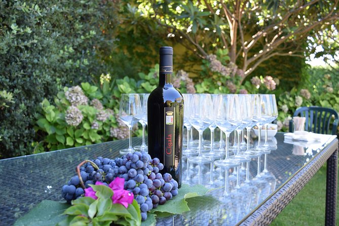 Sunset Tour with visit and guided tasting of 5 wines and local products - The 5-Wine Guided Tasting and How the Pairing Works