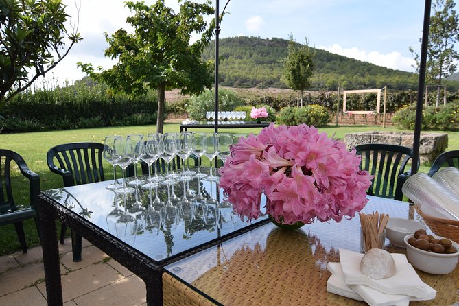 Sunset Tour with visit and guided tasting of 5 wines and local products - What You’ll Eat: Pecorino, Cold Cuts, Bruschetta, and Sweets
