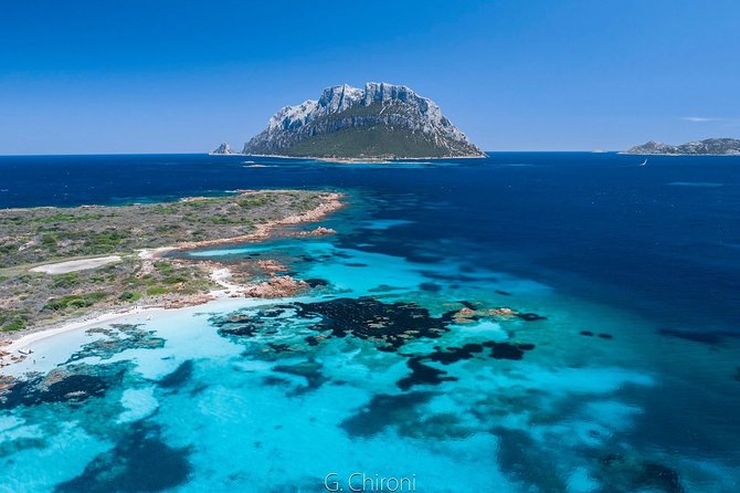 Tavolara Boat Tour and Snorkeling - Key highlights worth caring about