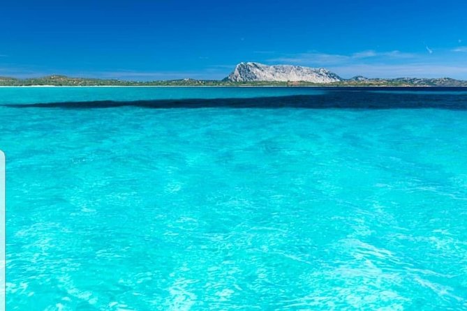 Tavolara Boat Tour and Snorkeling - Your route from Olbia: what the full morning includes
