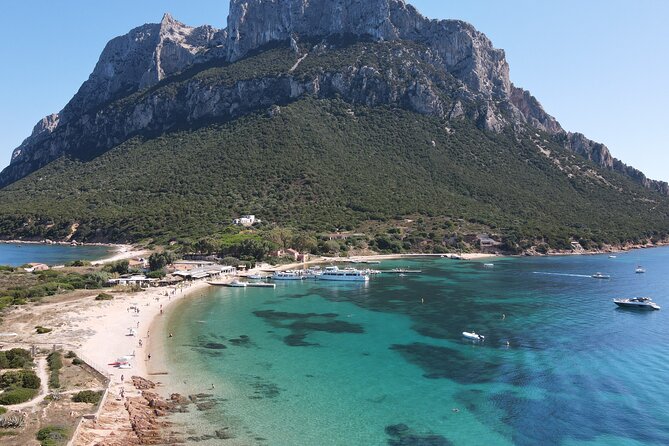 Tavolara excursion - From Spiaggia di Cala Suaraccia: the protected-marine start that sets the tone