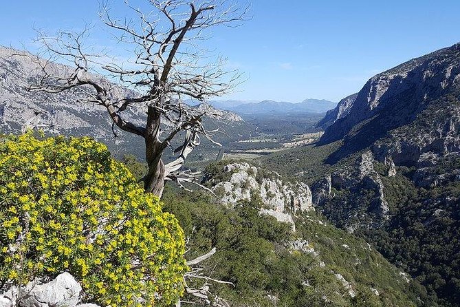 Tiscali mount guided hike - Comfort, dress code, and fitness: smart casual that still works