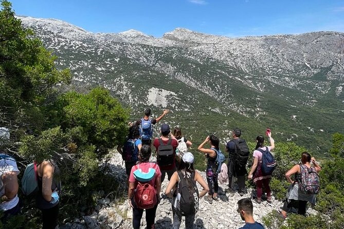 Tiscali mount guided hike - The 6 km trail: woods, charcoal paths, and karst that feels navigable
