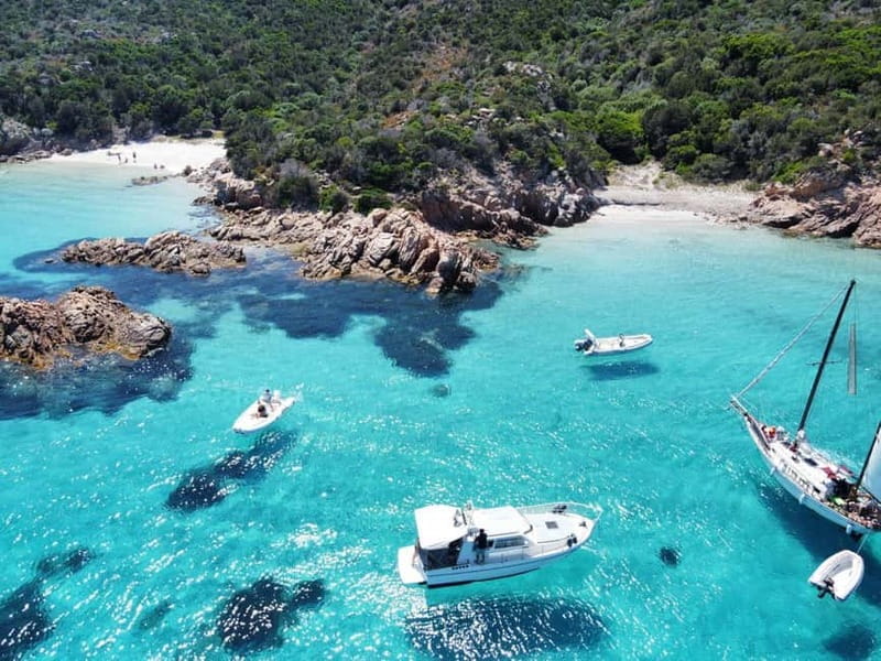 Tour in barca dell'Arcipelago di La Maddalena con pranzo - Spargi Lunch: Local Seafood, Dessert, and Drinks That Don’t Stop