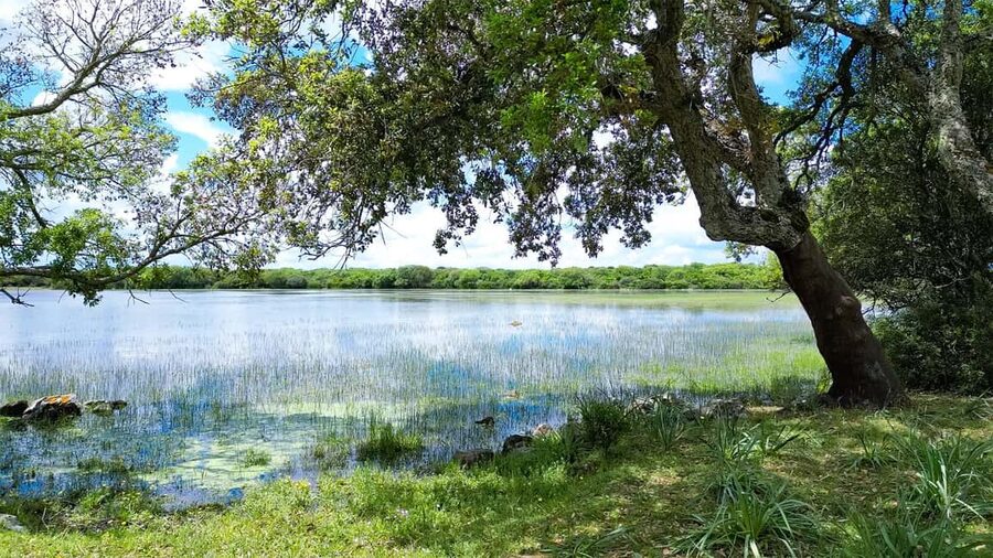 Tour Nature & Wildlife from Cagliari - Key takeaways before you go