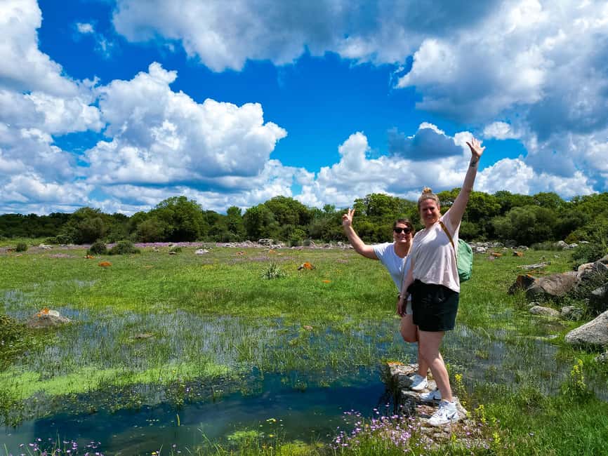 Tour Nature & Wildlife from Cagliari - Campidano to Giara: why this route feels special