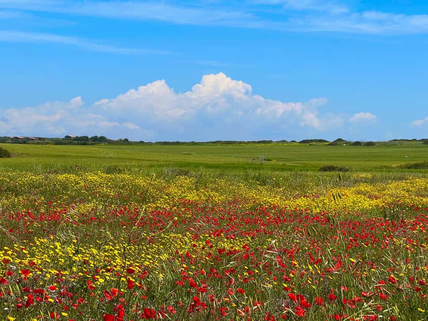 Tour Nature & Wildlife from Cagliari - Domu de janas “Sa domu ’e s’Orcu”: a short, meaningful add-on