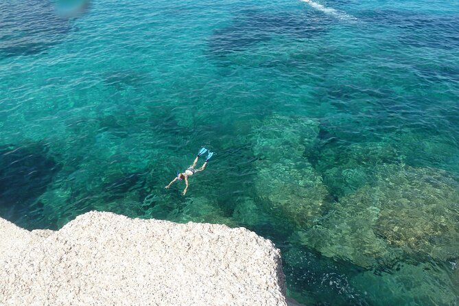 Tour to Figarolo Island with the possibility to observe dolphins - Dolphin-spotting in Sardinia’s Gulf feels like real nature time