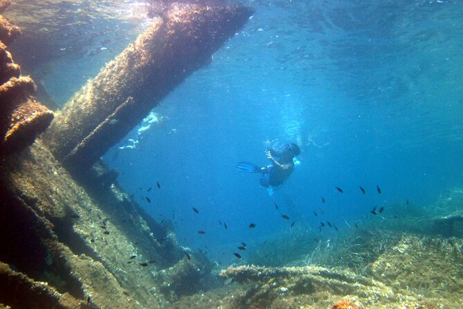 Tour to Figarolo Island with the possibility to observe dolphins - Figarolo Island swim stop: included snorkeling gear and real water clarity