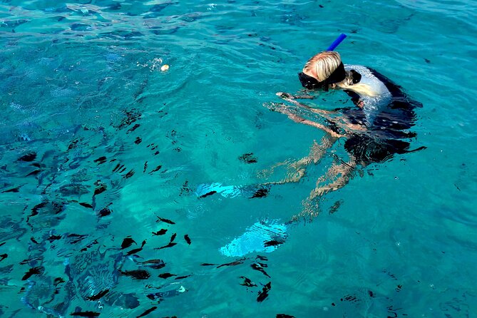 Tour to Figarolo Island with the possibility to observe dolphins - Snacking, drinks, and onboard “marine spotting” guidance