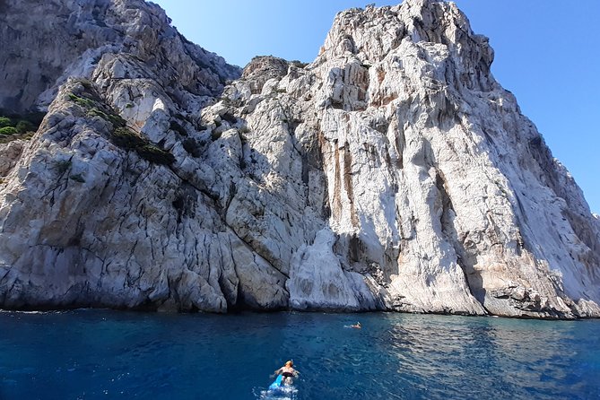 Tour to Figarolo Island with the possibility to observe dolphins - Who should book this cruise, and who should think twice