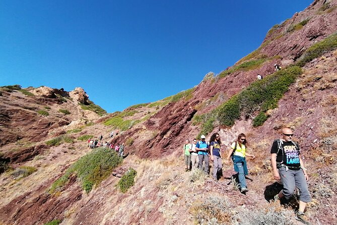 Trekking tour Nebida Masua and Porto Flavia - Key highlights you’ll feel right away