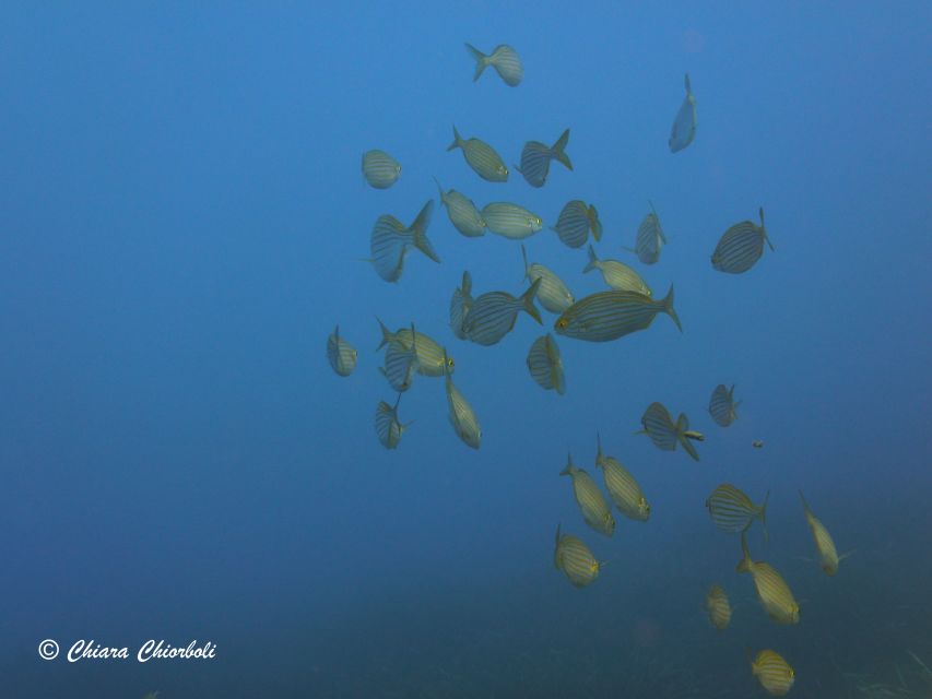 Villasimius: Capo Carbonara Boat and Snorkeling Tour - Second snorkeling session around the islands and rock formations