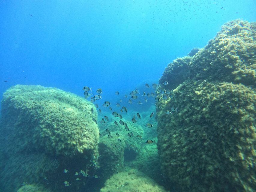 Villasimius: Scuba Dive in Capo Carbona without Certificate - License-free scuba intro: how they keep it safe without killing the fun