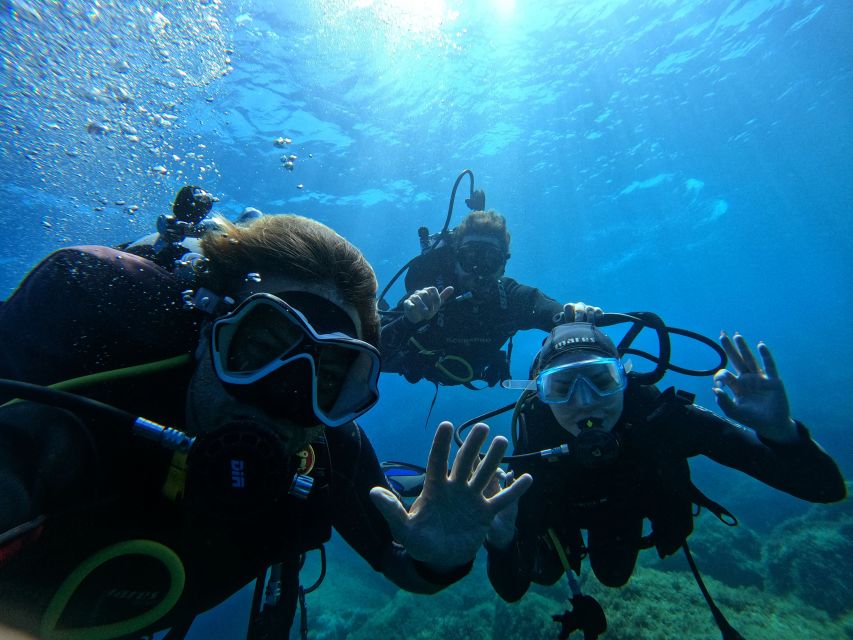 Villasimius: Scuba Dive in Capo Carbona without Certificate - Check-in and gear setup: what “sanitized before every excursion” means for you