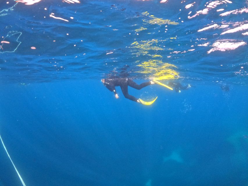 Villasimius: Snorkeling Tour in Capo Carbonara - Key highlights you’ll feel on the day