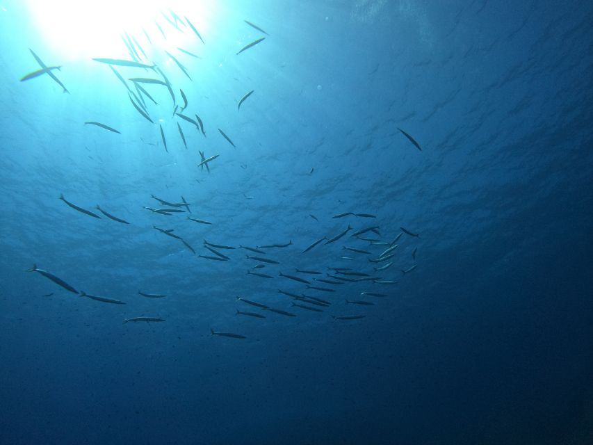 Villasimius: Snorkeling Tour in Capo Carbonara - Stop by Stop: Two Snorkeling Sessions Without Wasted Time