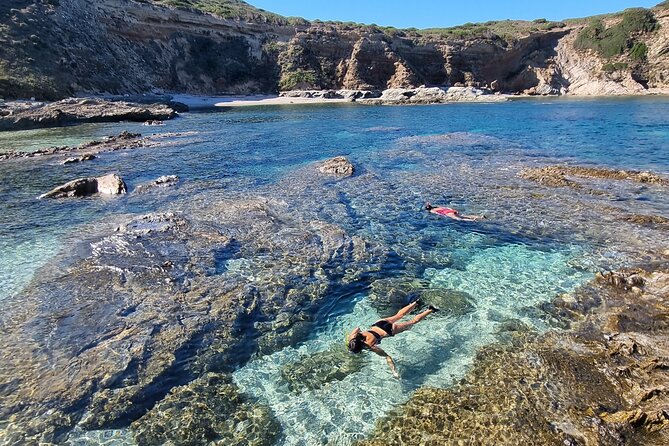 Wild Beaches & Snorkeling Tour - Key Highlights at a Glance