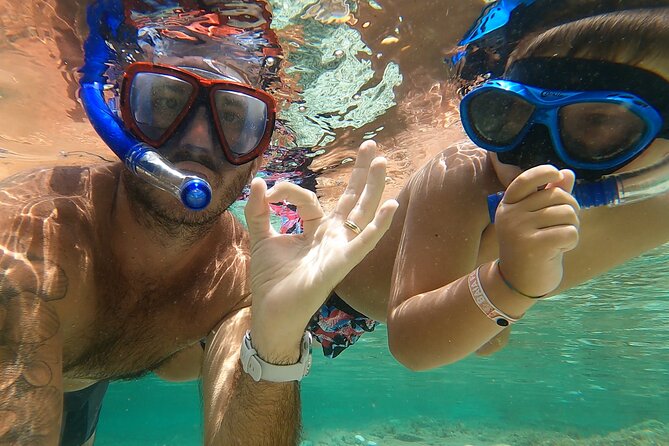Wild Beaches & Snorkeling Tour - Snorkeling With a Marine Biologist: How the Swim Comes Together