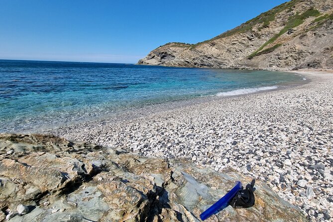 Wild Beaches & Snorkeling Tour - Lunch by the Sea: Light Sardinian Products Without the Restaurant Detour