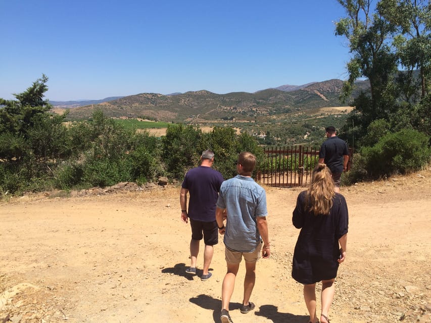 Wine Experience around Cagliari - Getting from Cagliari to the Wine Country Without the Stress