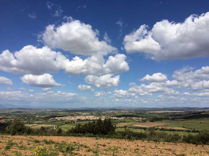 Wine Experience around Cagliari - Inside the Winery With Giuseppe and the Cellar Tour