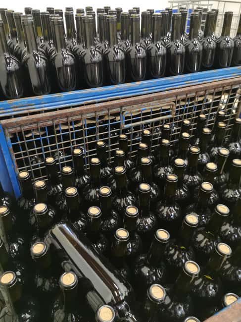 Wine Experience around Cagliari - Timing and Logistics That Actually Matter