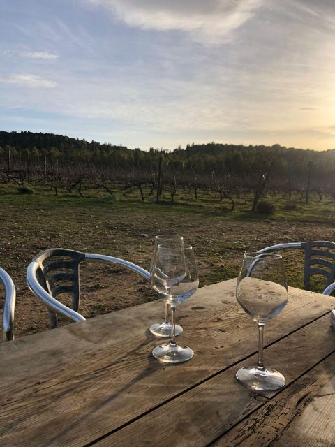 Wine tour and lunch or dinner at our vineyard - Key things I’d mark on your mental map