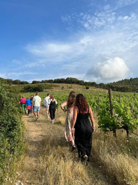 Wine tour and lunch or dinner at our vineyard - Meeting at Eurospin: the 5-minute start you should plan for