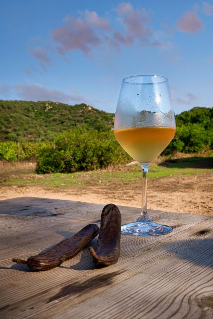 Wine tour and lunch or dinner at our vineyard - Wine tasting: Vermentino, Cannonau, orange wine, plus myrt and acquavite