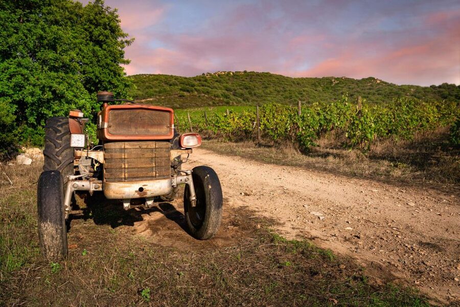 Wine tour and lunch or dinner at our vineyard - Practical tips to make your visit smoother