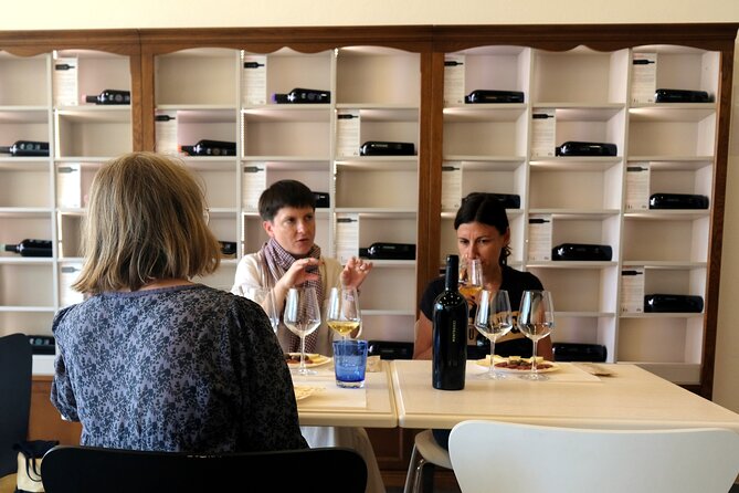 WINE TOUR with sommelier in a winery near Cagliari - Key highlights at a glance