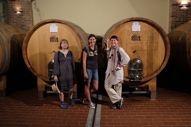 WINE TOUR with sommelier in a winery near Cagliari - Cantine di Dolianova: seeing the process behind the glass