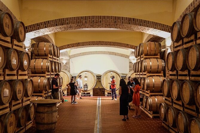 WINE TOUR with sommelier in a winery near Cagliari - The sommelier’s tasting method: learn to taste, not just drink