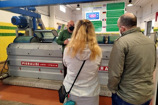Winery And Oil Mill Tasting Tour - Stop 1 at Museo dell’Olio: learning olive oil by tasting, not guessing