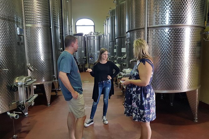 Winery And Oil Mill Tasting Tour - Price and value: what €180.23 buys you (and what to budget for)